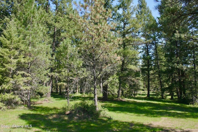 view of yard featuring a wooded view
