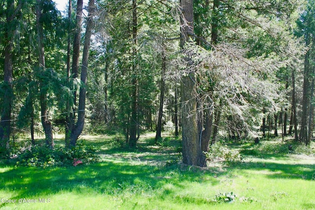 view of nature with a forest view