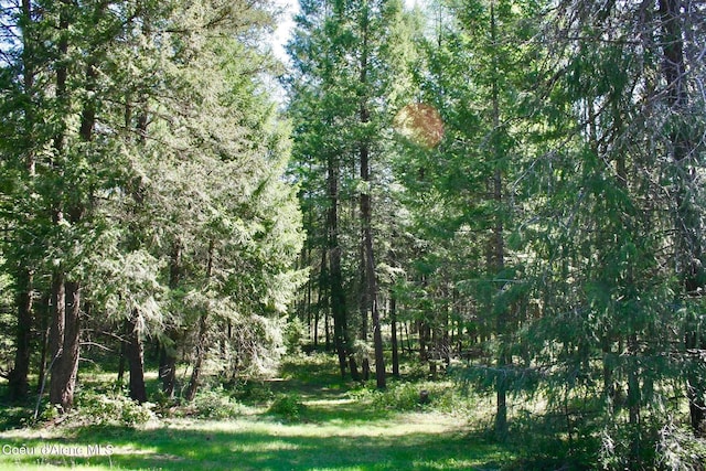 view of nature with a view of trees