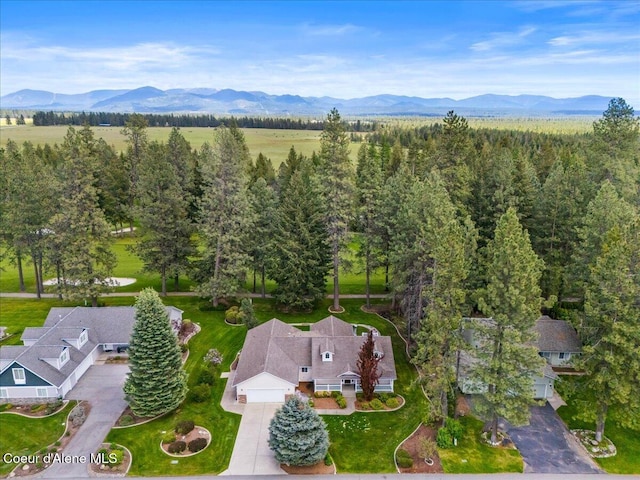 view of property location with a mountain backdrop