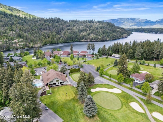 drone / aerial view of a forest and a water and mountain view