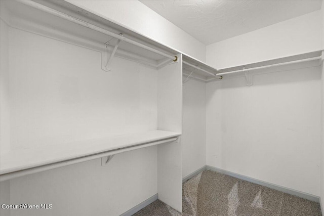 32350 N 7th Ave, Spirit Lake, ID 83869 - view of spacious closet