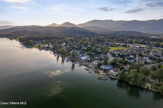 1100 S Division Ave, Sandpoint, ID 83864 - aerial view with a water and mountain view