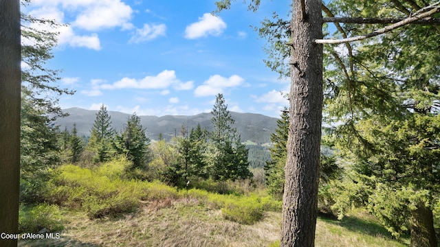 8517 W Eagle Ridge Rd, Coeur Dalene, ID 83814 - photo 36