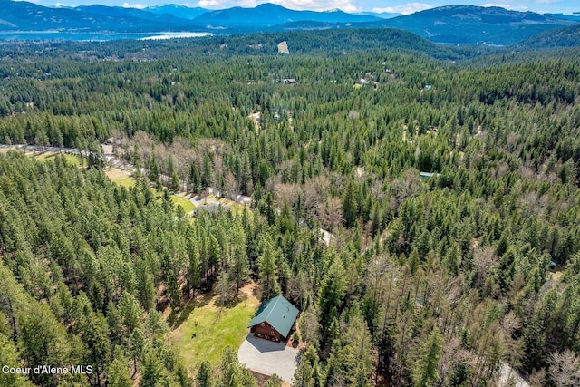 12515 Baldy Mountain Rd, Sandpoint, ID 83864 - photo 2
