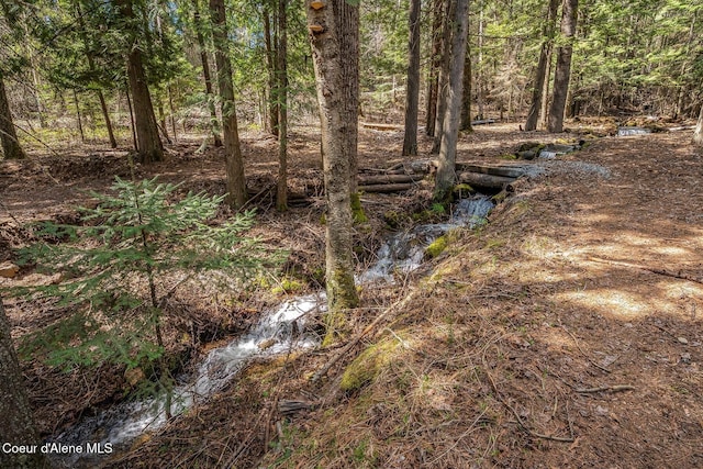12515 Baldy Mountain Rd, Sandpoint, ID 83864 - photo 27