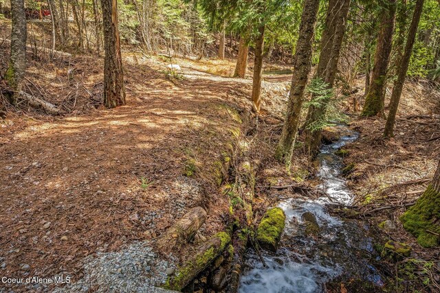 12515 Baldy Mountain Rd, Sandpoint, ID 83864 - photo 68