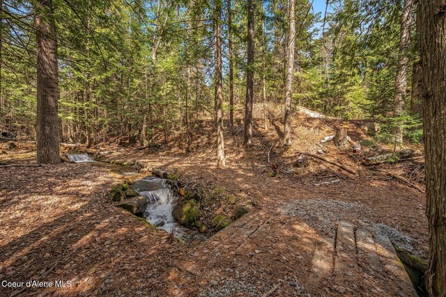 12515 Baldy Mountain Rd, Sandpoint, ID 83864 - photo 73