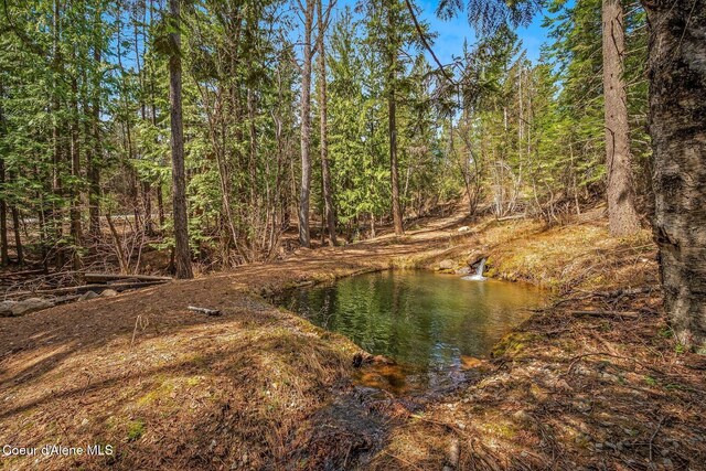12515 Baldy Mountain Rd, Sandpoint, ID 83864 - photo 74