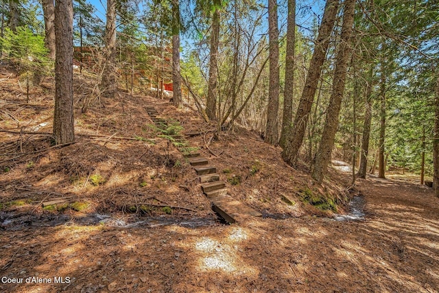 12515 Baldy Mountain Rd, Sandpoint, ID 83864 - photo 75