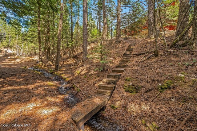 12515 Baldy Mountain Rd, Sandpoint, ID 83864 - photo 76