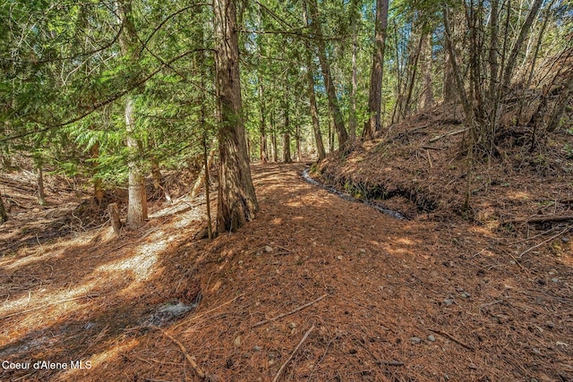 12515 Baldy Mountain Rd, Sandpoint, ID 83864 - photo 77