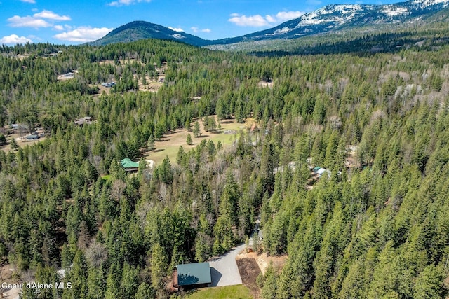 12515 Baldy Mountain Rd, Sandpoint, ID 83864 - photo 81