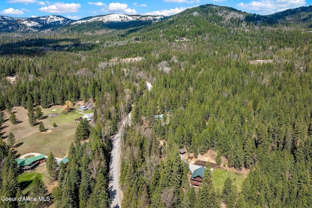 12515 Baldy Mountain Rd, Sandpoint, ID 83864 - photo 82