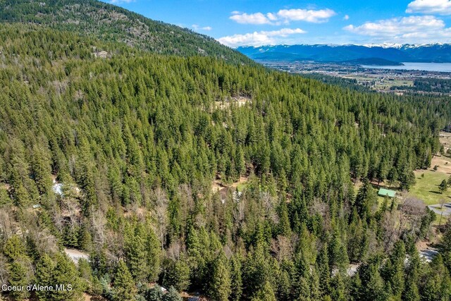 12515 Baldy Mountain Rd, Sandpoint, ID 83864 - photo 83
