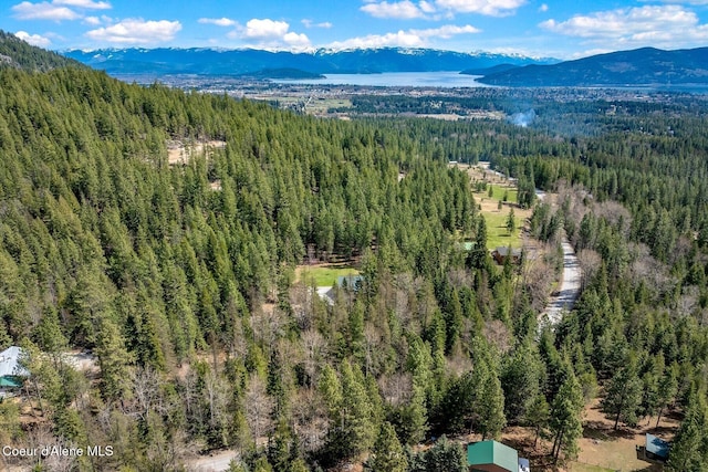 12515 Baldy Mountain Rd, Sandpoint, ID 83864 - photo 84
