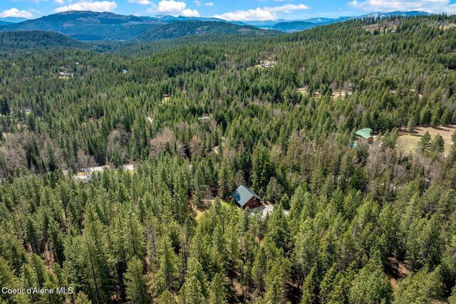 12515 Baldy Mountain Rd, Sandpoint, ID 83864 - photo 86