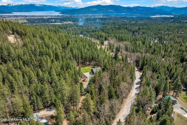 12515 Baldy Mountain Rd, Sandpoint, ID 83864 - photo 87