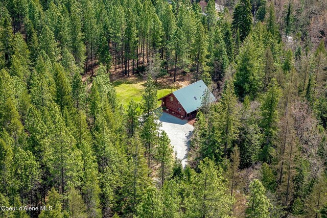 12515 Baldy Mountain Rd, Sandpoint, ID 83864 - photo 94