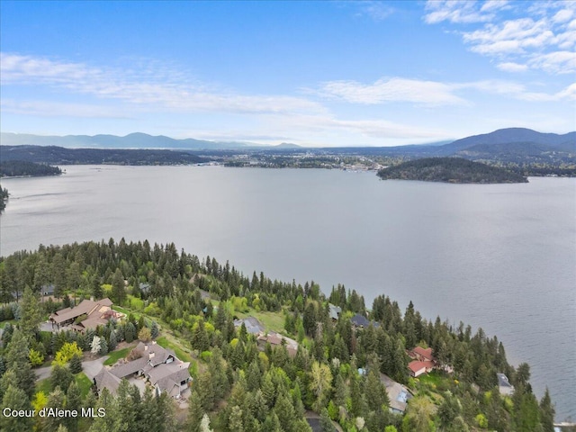 3677 S Capeview Ct, Coeur Dalene, ID 83814 - drone / aerial view with a water and mountain view