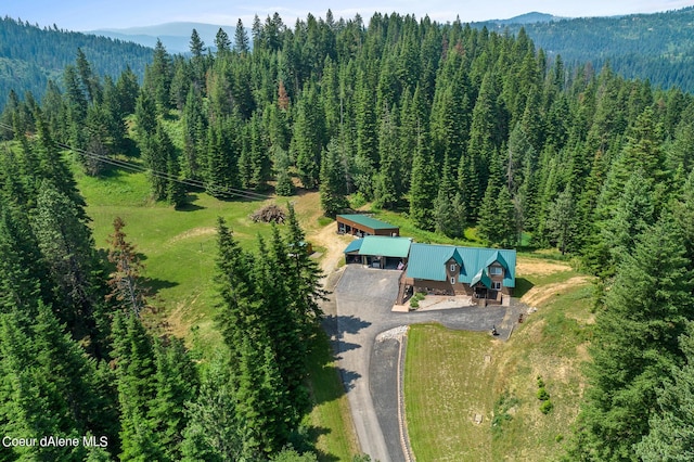 14105 E Marie Creek Rd, Coeur Dalene, ID 83814 - aerial view with a mountain view and a wooded view