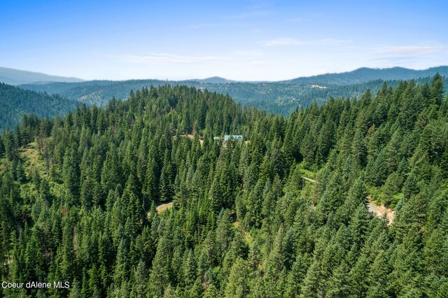 14105 E Marie Creek Rd, Coeur Dalene, ID 83814 - view of mountain feature featuring a forest view