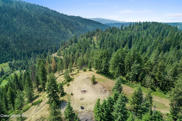 14105 E Marie Creek Rd, Coeur Dalene, ID 83814 - bird's eye view with a mountain view and a forest view