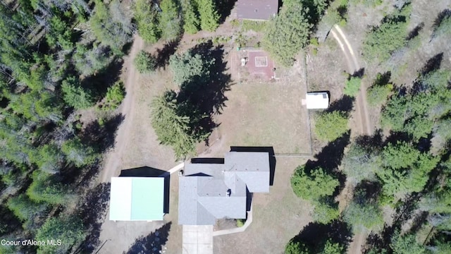 bird's eye view