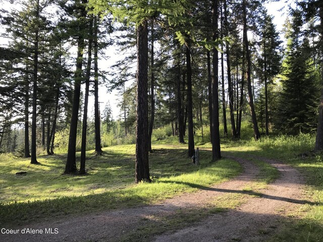 17762 S Nolan Dr, Coeur Dalene, ID 83814
