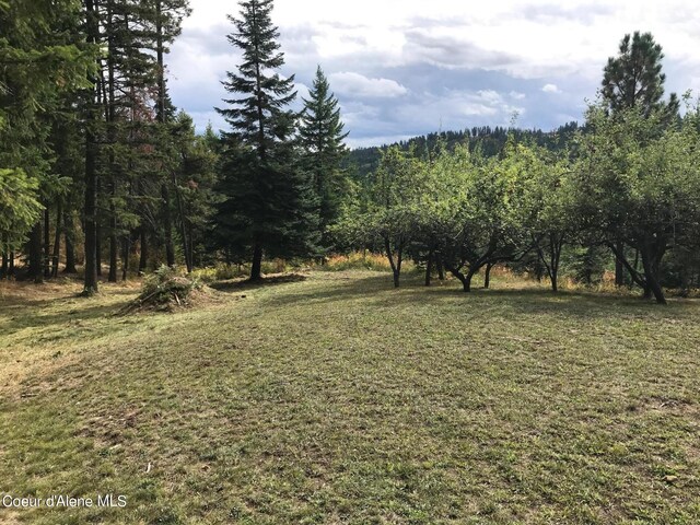 17762 S Nolan Dr, Coeur Dalene, ID 83814