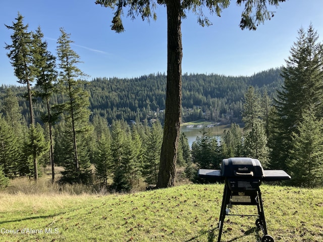 17762 S Nolan Dr, Coeur Dalene, ID 83814