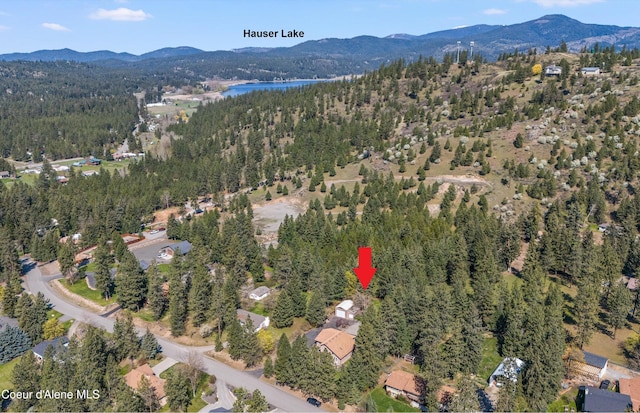 drone / aerial view featuring a mountain view and a forest view