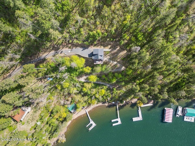 7809 E Bridger Trl, Harrison, ID 83833 - birds eye view of property with a water view