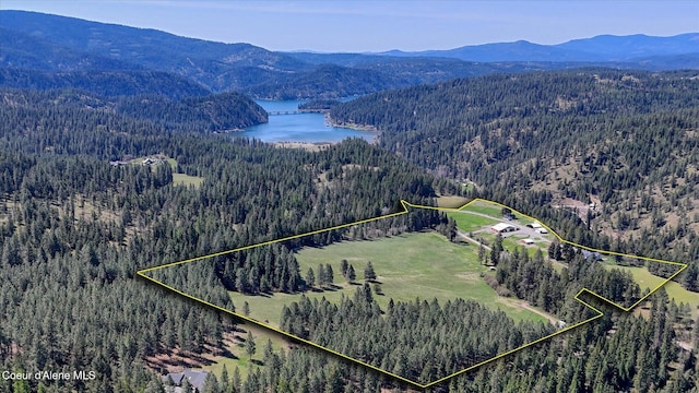 2885 S Folsom Ridge Rd, Coeur Dalene, ID 83814 - aerial view of property and surrounding area with a heavily wooded area, a water and mountain view, and property boundaries highlighted