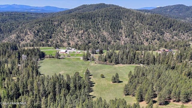 2885 S Folsom Ridge Rd, Coeur Dalene, ID 83814 - view of mountain backdrop with a forest