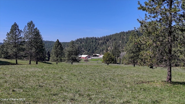 2885 S Folsom Ridge Rd, Coeur Dalene, ID 83814 - mountain view featuring a forest and rural landscape