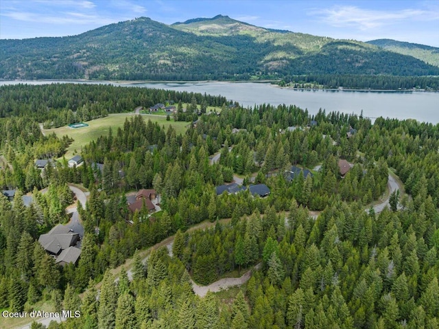 211 Dawson Rd, Priest River, ID 83856