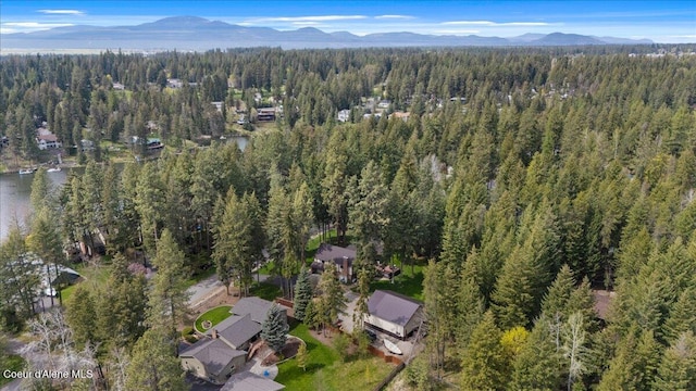 drone / aerial view with a view of trees and a mountain view
