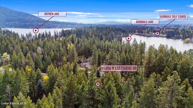 birds eye view of property with a water and mountain view and a view of trees