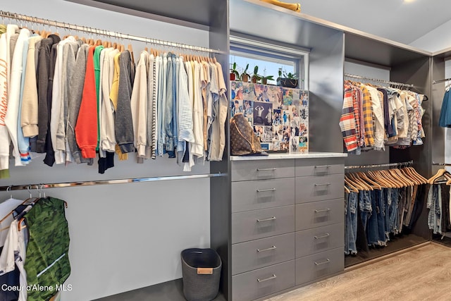 walk in closet with wood finished floors