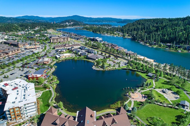 bird's eye view with a water and mountain view and a view of trees