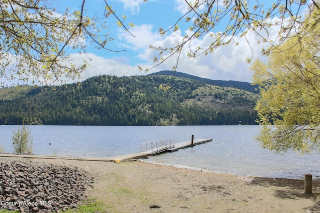 dock area with a view of trees and a water and mountain view