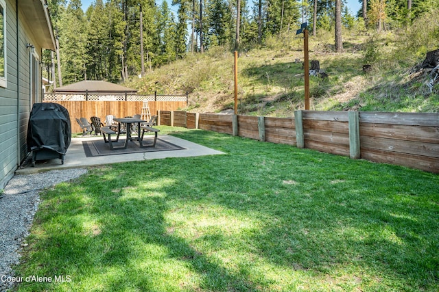 view of yard with a patio and a fenced backyard