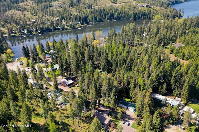 bird's eye view with a view of trees and a water view