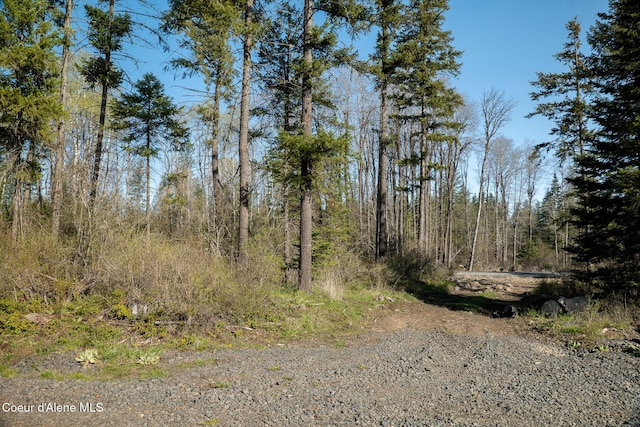 LOT2 W Solid Rock Rd, Coeur Dalene, ID 83814 - photo 29