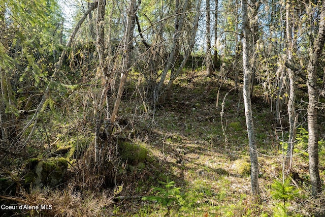 LOT2 W Solid Rock Rd, Coeur Dalene, ID 83814 - photo 34
