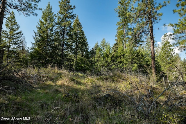 LOT2 W Solid Rock Rd, Coeur Dalene, ID 83814 - photo 9