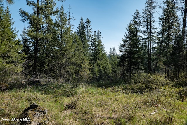 LOT2 W Solid Rock Rd, Coeur Dalene, ID 83814 - photo 4