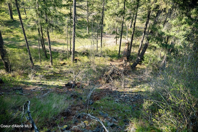 LOT2 W Solid Rock Rd, Coeur Dalene, ID 83814 - photo 36