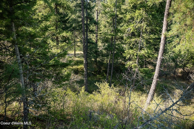 LOT2 W Solid Rock Rd, Coeur Dalene, ID 83814 - photo 38